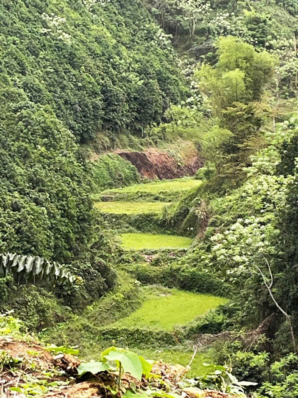 8-Day Northeast Vietnam Bike Adventure